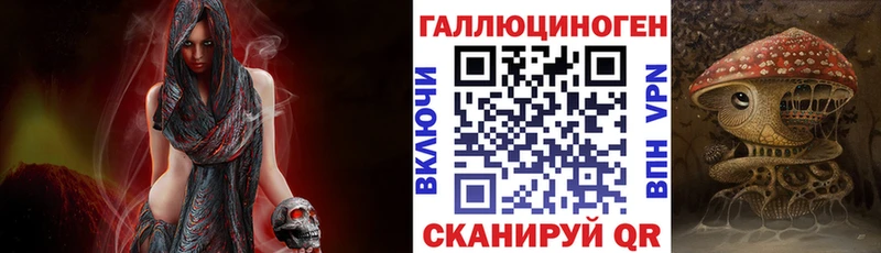 где продают   Комсомольск  Галлюциногенные грибы Psilocybine cubensis 