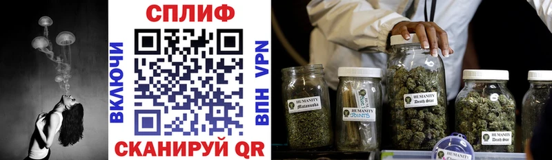 Каннабис OG Kush  Комсомольск 